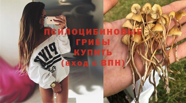 ALPHA PVP Алзамай