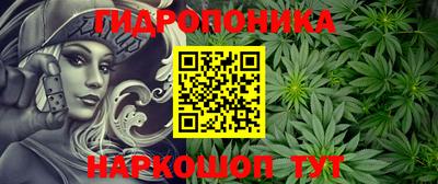 jwh Аргун