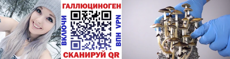 Галлюциногенные грибы мицелий  купить   это телеграм  Балабаново 