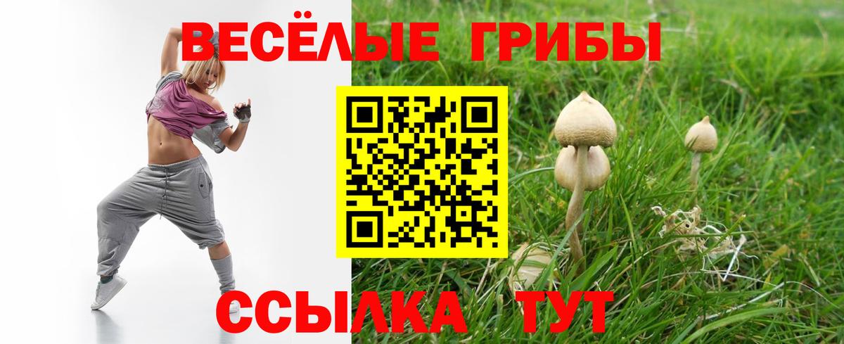 Галлюциногенные грибы ЛСД Балабаново